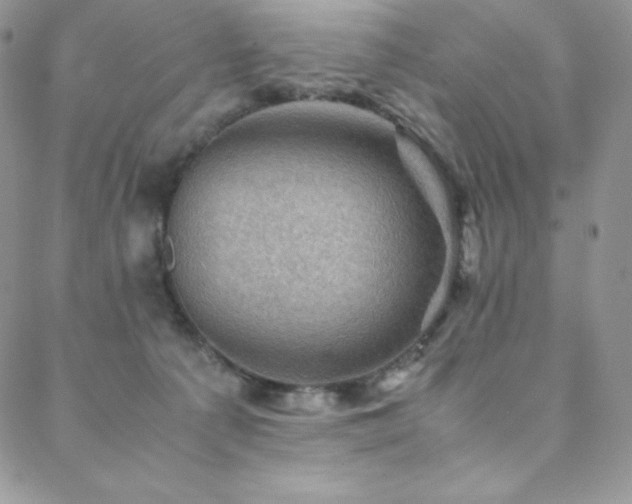 X0000088600225200705251222