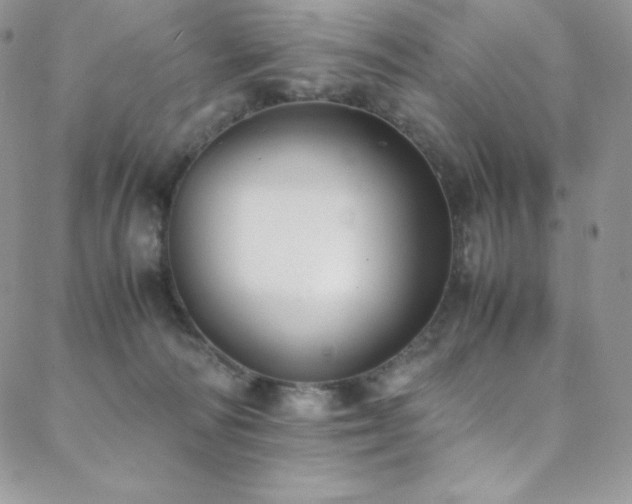 X0000088600226200705251222