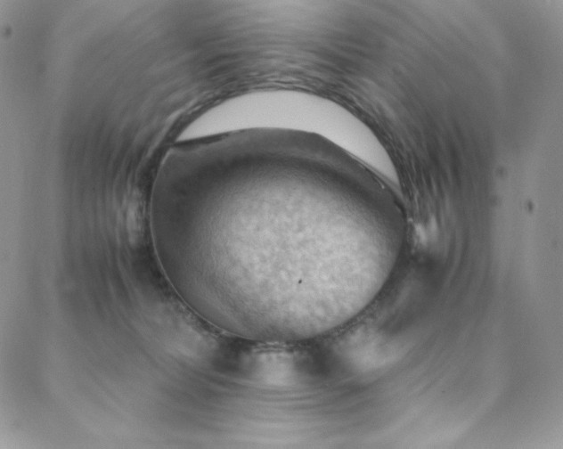 X0000088600228200705251222