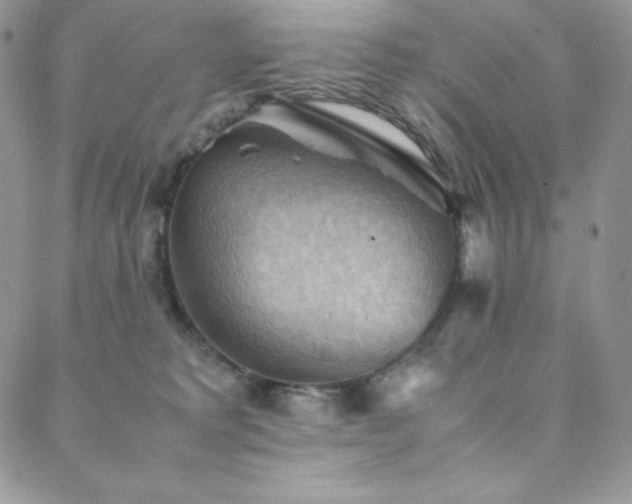 X0000088600229200705251222