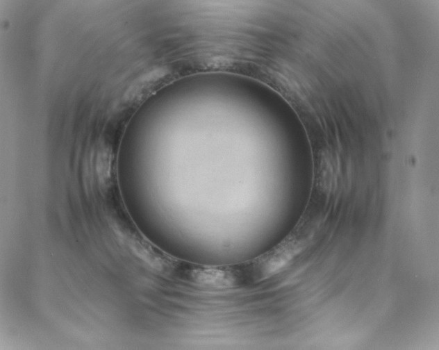 X0000088600230200705251222