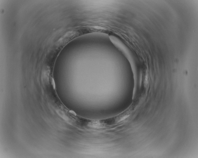 X0000088600231200705251222