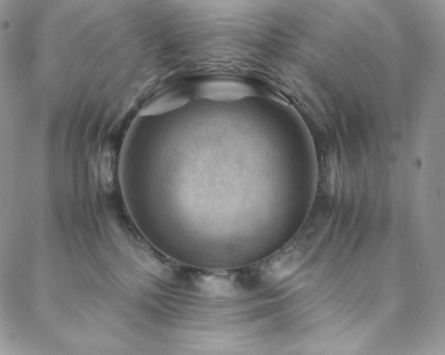 X0000088600232200705251222