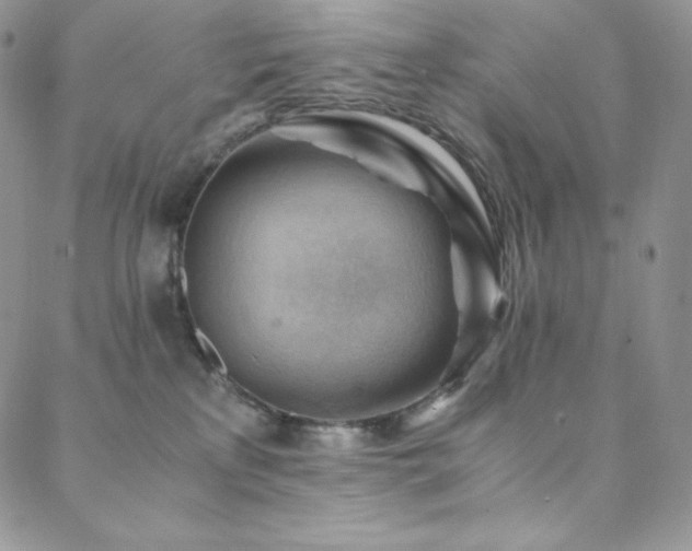 X0000088600233200705251222