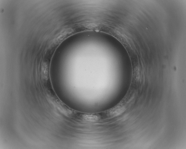 X0000088600234200705251222