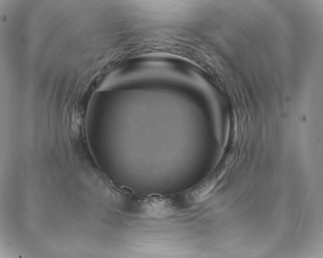 X0000088600235200705251222