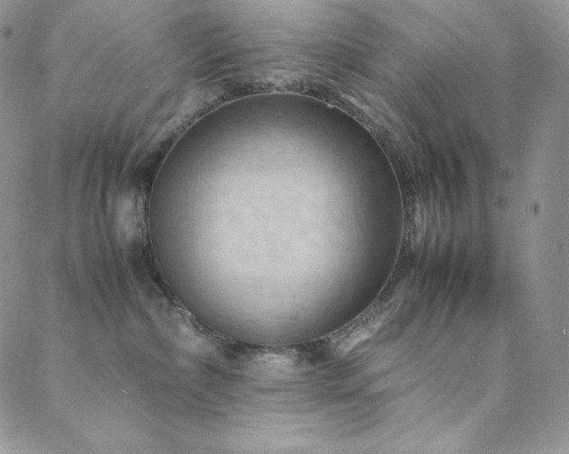 X0000088600236200705251222