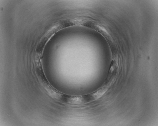 X0000088600237200705251222