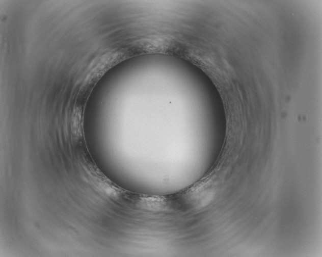 X0000088600240200705251222