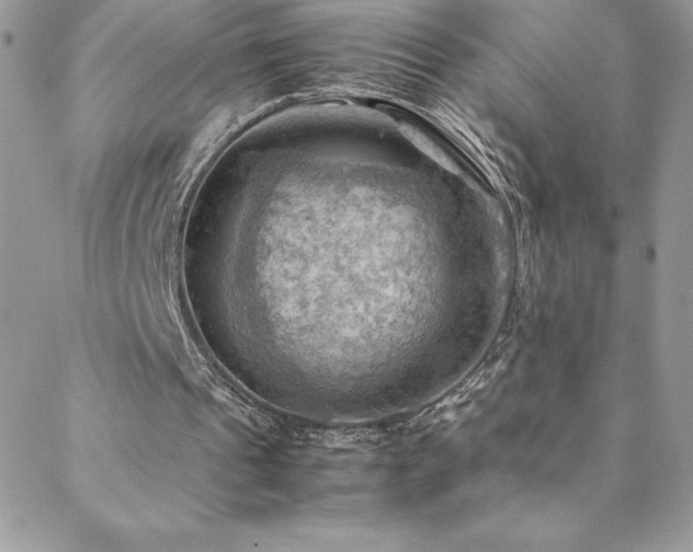 X0000088600241200705251221