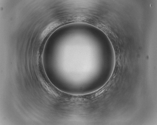 X0000088600242200705251221