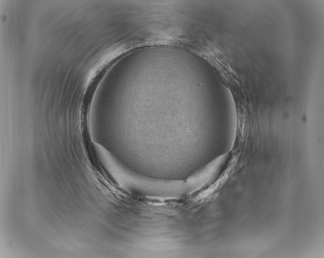 X0000088600244200705251221