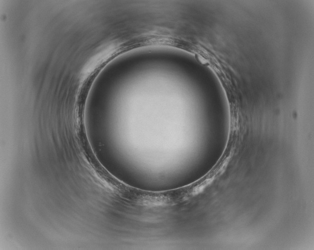 X0000088600245200705251221