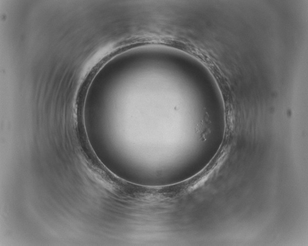 X0000088600246200705251221