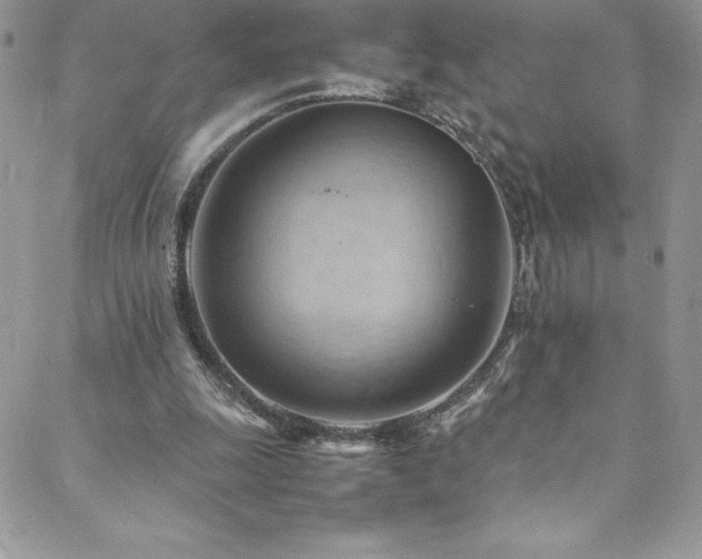 X0000088600247200705251221