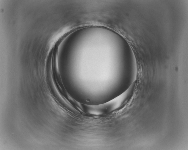 X0000088600248200705251221