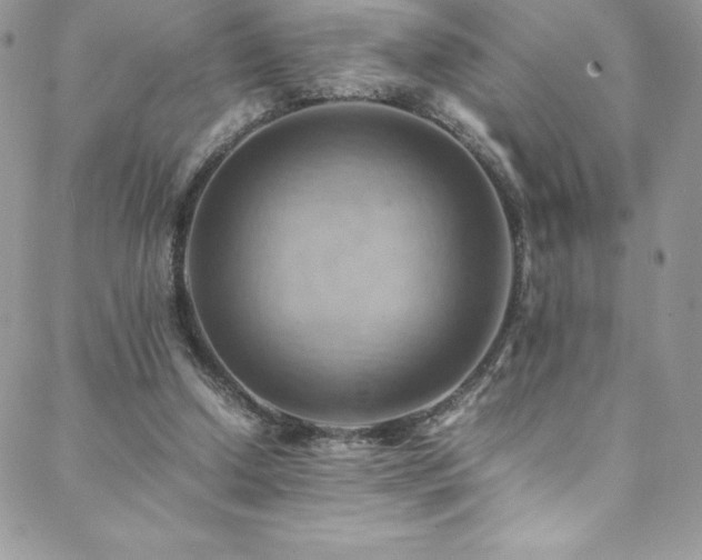 X0000088600250200705251221