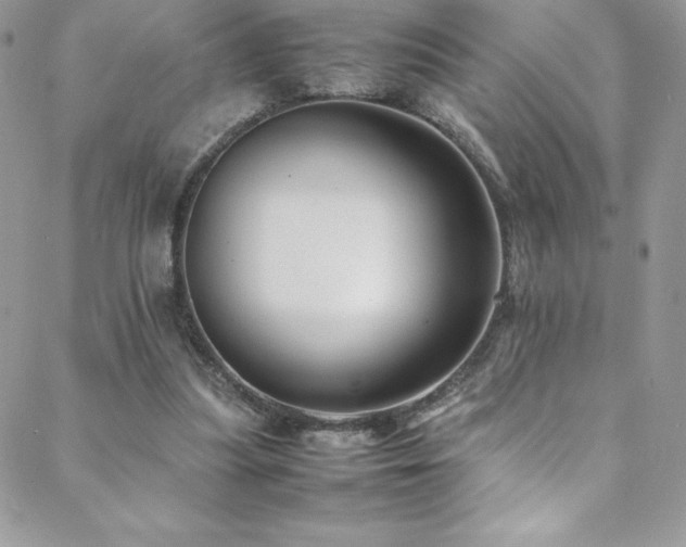 X0000088600251200705251221