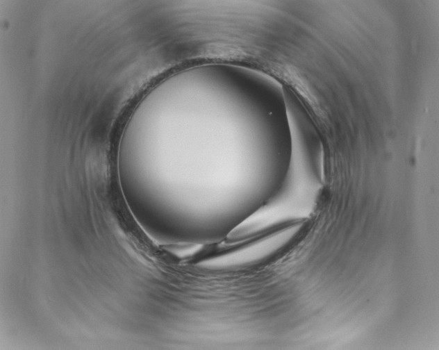 X0000088600252200705251221