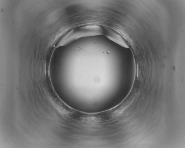 X0000088600253200705251221