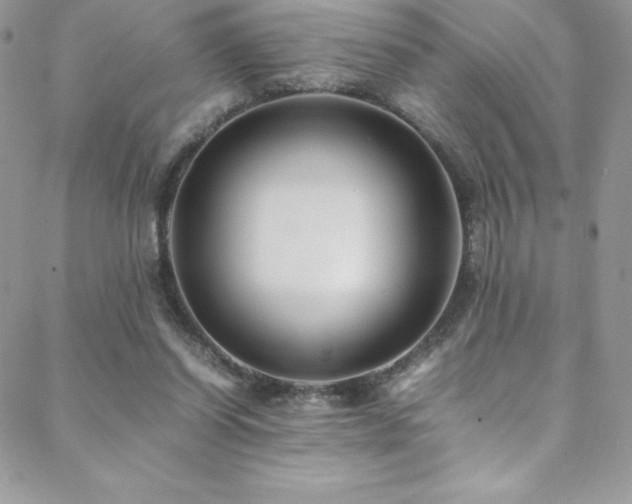 X0000088600254200705251221