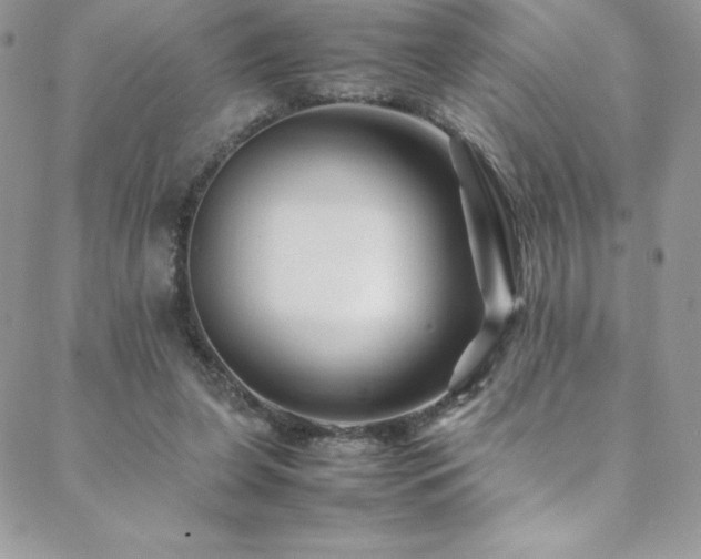 X0000088600255200705251221