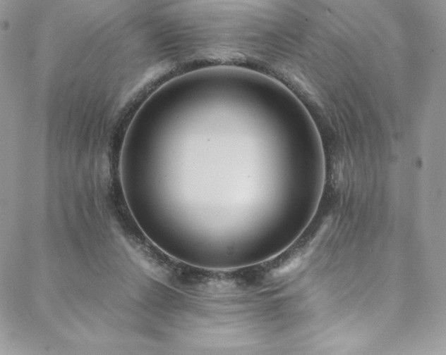 X0000088600256200705251221