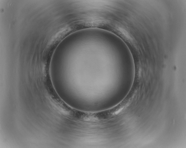 X0000088600258200705251221