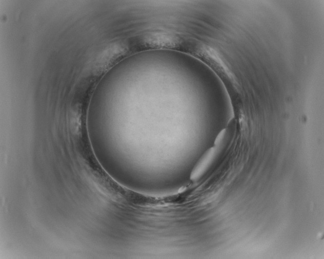 X0000088600259200705251221