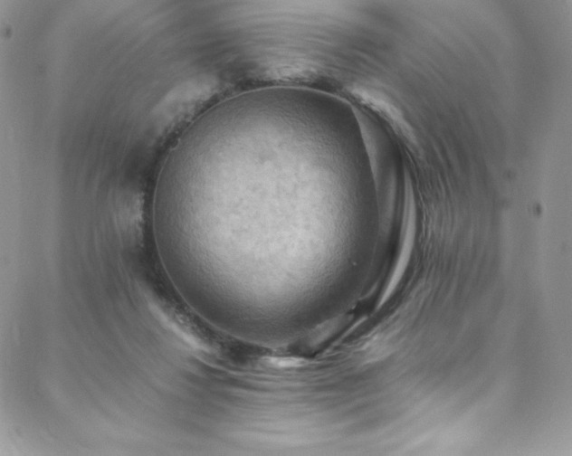 X0000088600260200705251221