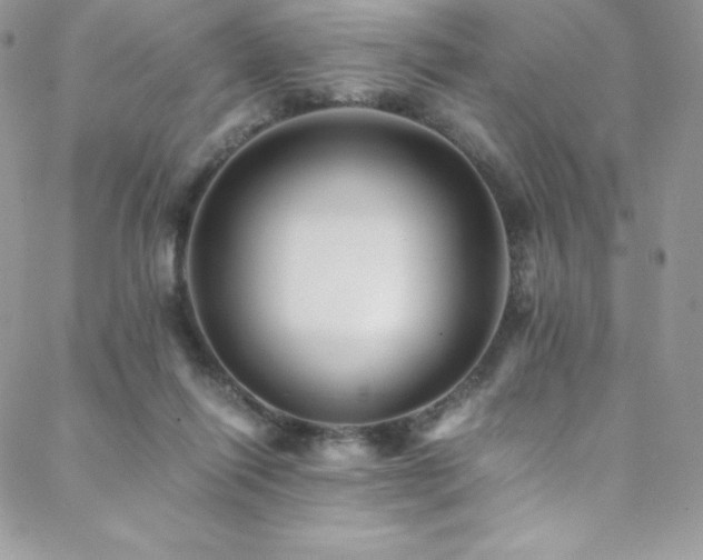 X0000088600262200705251221