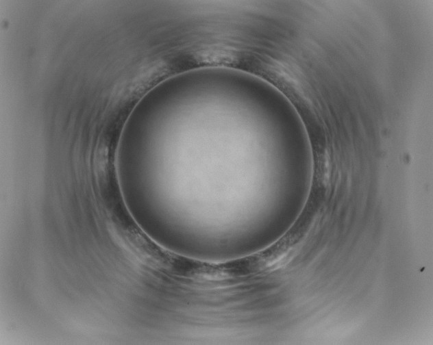 X0000088600263200705251221