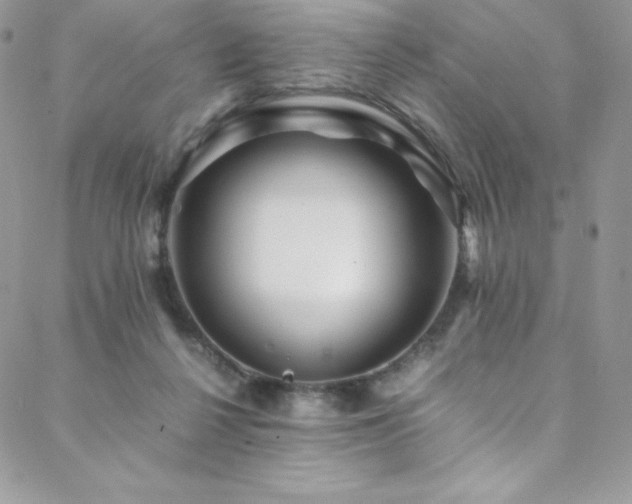 X0000088600264200705251221