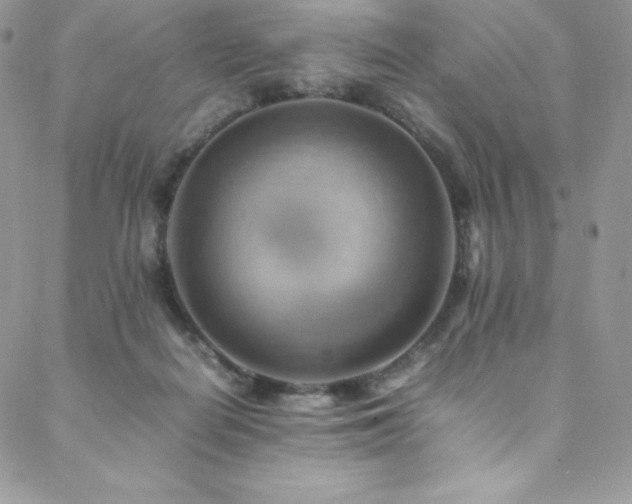 X0000088600266200705251221