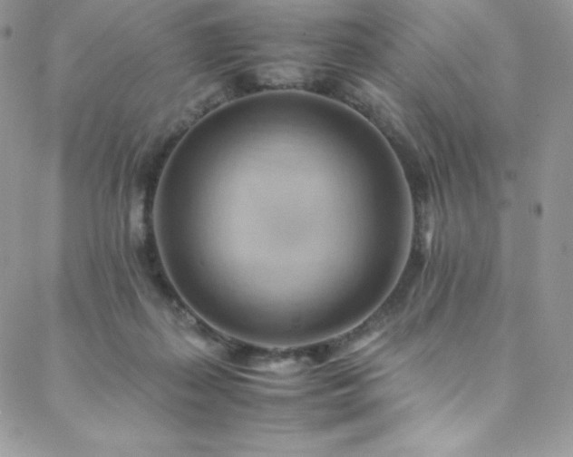 X0000088600267200705251221