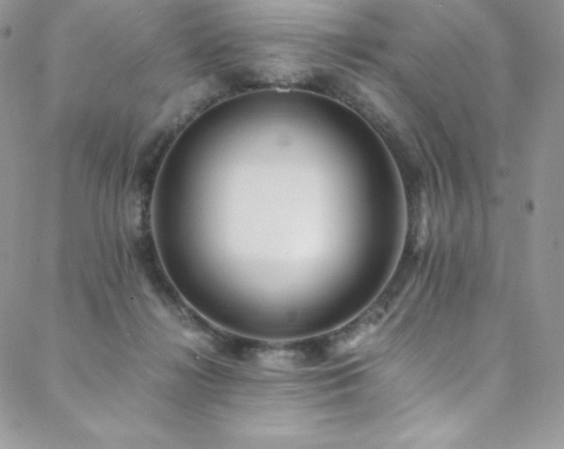 X0000088600268200705251221