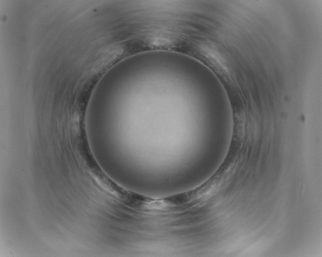 X0000088600269200705251221