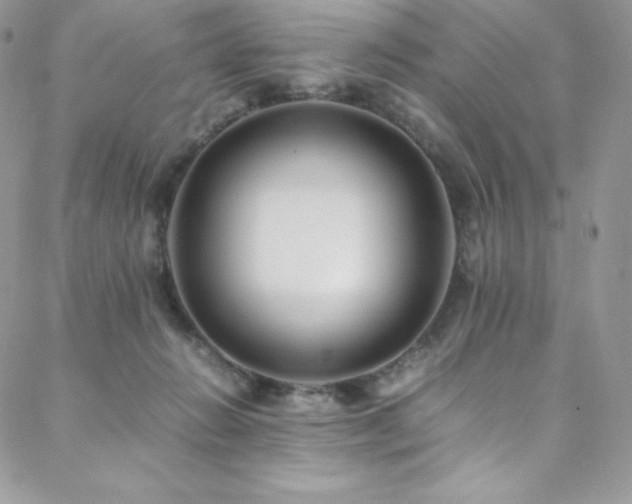 X0000088600270200705251221