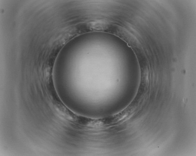 X0000088600271200705251221