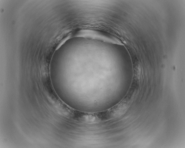 X0000088600272200705251221