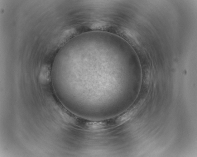 X0000088600273200705251221