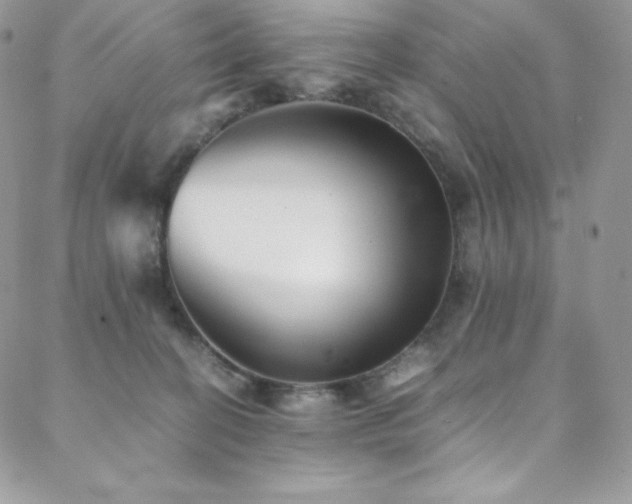 X0000088600274200705251221