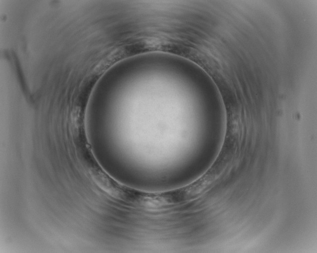 X0000088600275200705251221