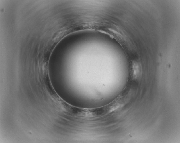 X0000088600276200705251221