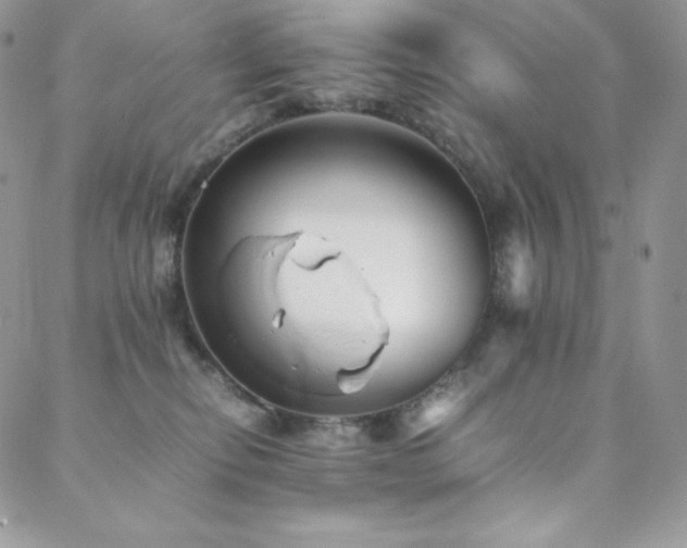 X0000088600278200705251222