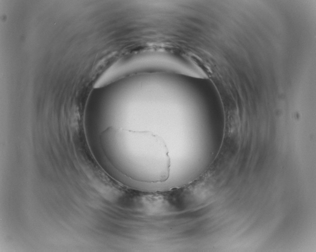 X0000088600279200705251222