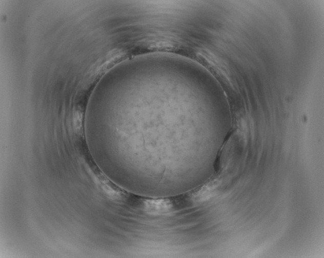 X0000088600281200705251222