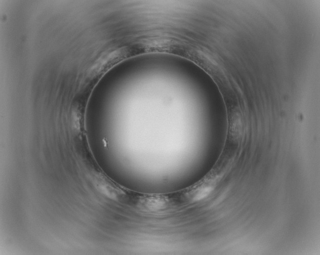 X0000088600282200705251222