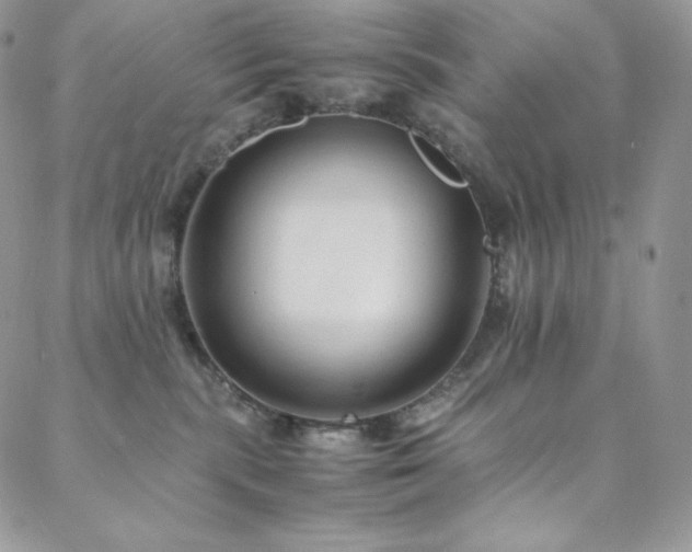 X0000088600283200705251222