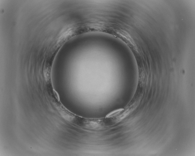 X0000088600285200705251222